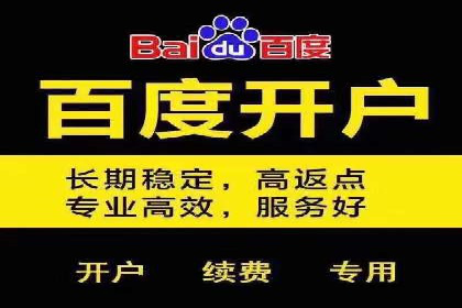 包年竞价技巧分享：案例解读高回报策略